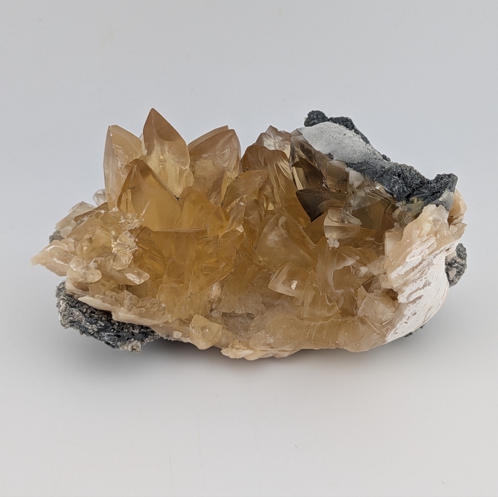 Fossil Clam Calcite Crystal Specimen